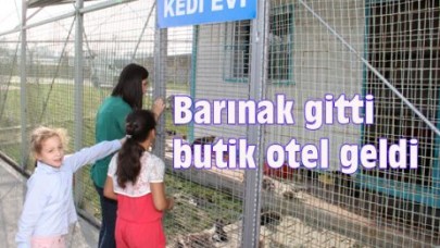 Barınak gitti butik otel geldi