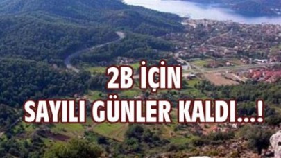 2B'de son bilançoyu açıkladı
