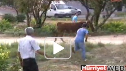 MEMLEKETİMDEN KURBAN MANZARALARI