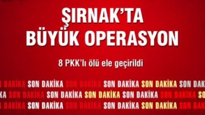 Şırnak'ta 8 PKK'lı Öldürüldü