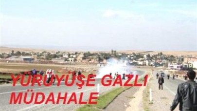 Siirt'te Yürüyüşe Gazlı Müdahale