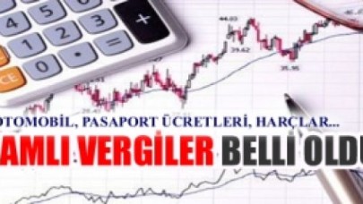 Yeni yılda vergi ve cezalar ne olacak