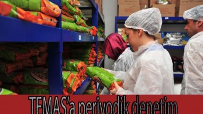 TEMAŞ’a periyodik denetim