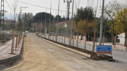 Güzelce girişi ağaçlandırıldı…