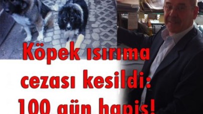 Köpeklerle başı dertte...