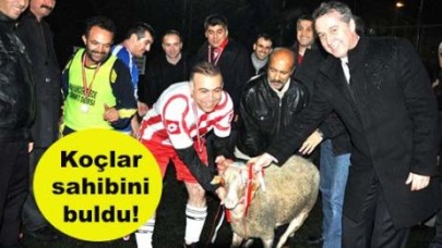 Koçlar sahibini buldu!
