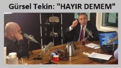 Gürsel Tekin: "HAYIR DEMEM"