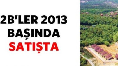 2B'ler 2013'ün başında satışta