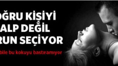 Doğru kişiyi burun seçiyor