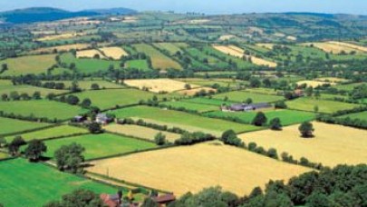 Yüzlerce çiftçi mağdur!