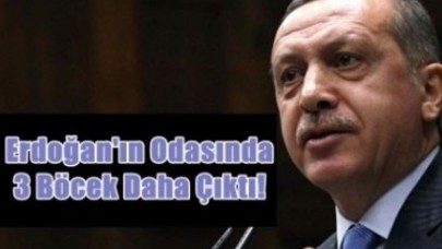 Başbakan'dan 'Böcek' Açıklaması