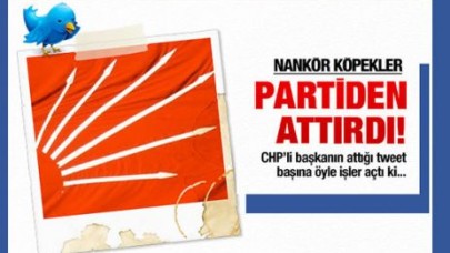 Nankör köpekler tweeti ihraç ettirdi