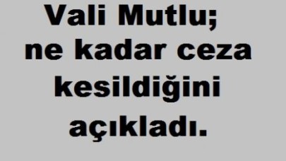 İstanbul'da kesilen trafik cezası