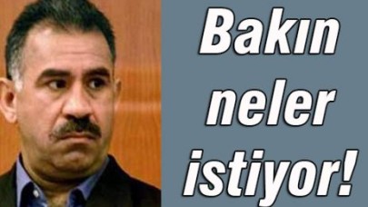 Türk 'devleti zorlamaz' demişti