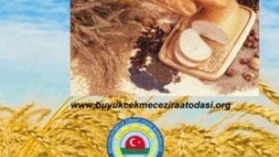 Başbakanın açıklamasına Erol’dan destek