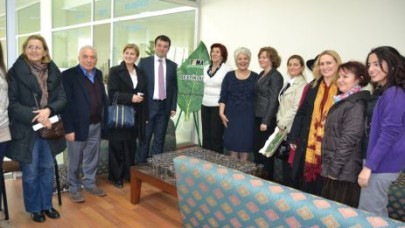 Bina değil ağaç artmalı