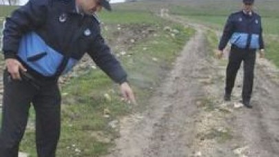 Kaçak Avcılara Göz Açtırılmıyor