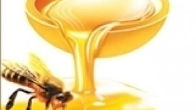 Arıcılık ve Arı Ürünleri Festivali başlıyor