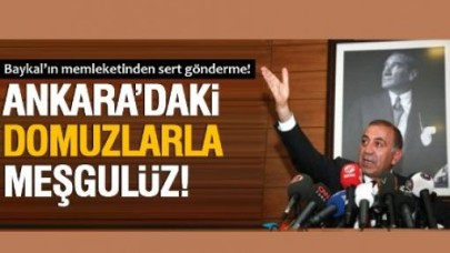 Gürsel Tekin'den DOMUZ çıkışı