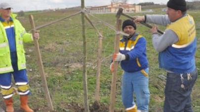 DAHA YEŞİL BİR SİLİVRİ İÇİN ÇALIŞMALAR HIZ KAZANDI