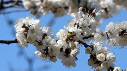 Son cemre yarın düşüyor