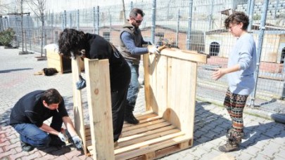 HAYVANSEVERLERİN CAN DOSTLARIMIZA BÜYÜK JESTİ…