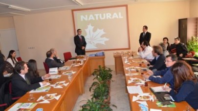 Örnek proje devam ediyor