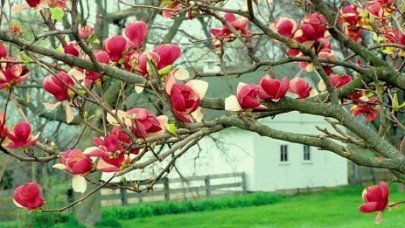 Hafta sonu hava ısınıyor