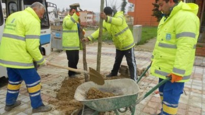 GÜMÜŞYAKA YEMYEŞİL OLACAK