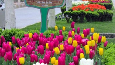 Beylikdüzü laleler ile donandı