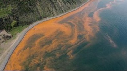 Marmara'da korkutan tablo