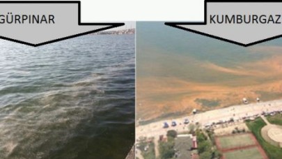Sahillerimizin 'turuncu' renge dönüşü kirliliğin işareti!