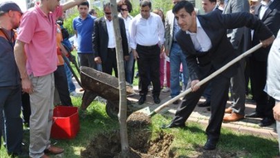 BOĞAZİÇİ A.Ş’DEN SİLİVRİ’YE BİN TANE AĞAÇ