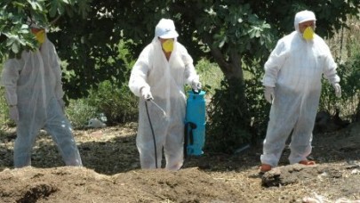 Önce yıktılar sonra dezenfekte ettiler