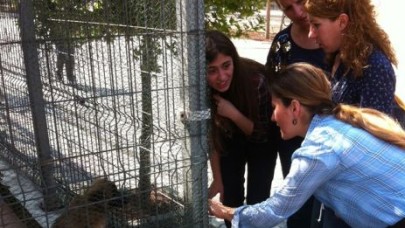 Kadın kollarından yardım eli