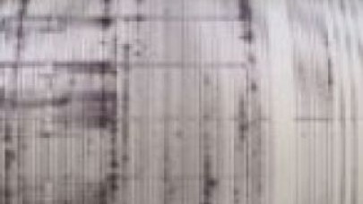 Muğla'da Korkutan Deprem