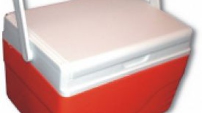 Ölen Genç Kızın Organları 7 Kişiye Umut Oldu