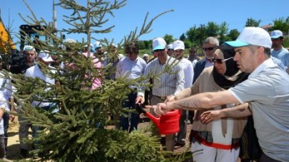 5 BİN AĞAÇ  HAYAT BULUYOR