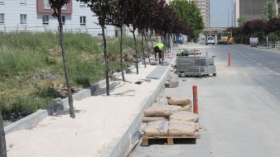 Mahalle yollarına kapsamlı bakım