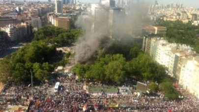 Mesele ağaç olmaktan çıktı!