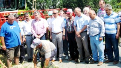 Büyükçekmece'de hasat sezonu açıldı