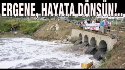 ERGENE, HAYATA DÖNSÜN!..