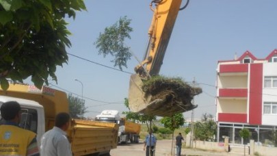 Sarıbıyık sordu, belediye cevap verdi