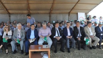 Silivri’de Tarla Günü Etkinliği