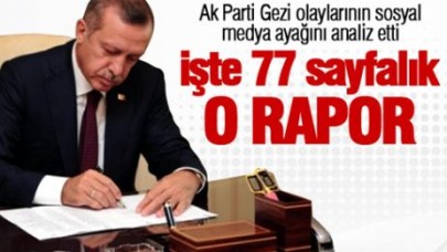 'Gezi Parkı sosyal medya raporu'