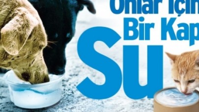 ŞEHRİN SOKAKLARINDA TEK BAŞINA