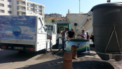 Çöp konteynerleri temizlendi