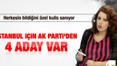 'AK Parti'de İstanbul için 4 aday var'