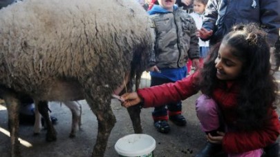 Kentköy Engelli Minikleri Ağırladı