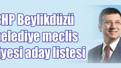 CHP Beylikdüzü meclis üyesi listesi